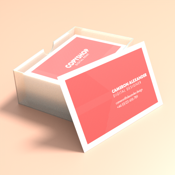 نمونه محصولات